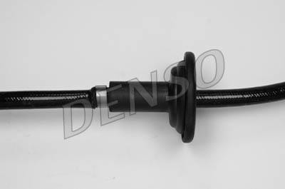 DLS-143