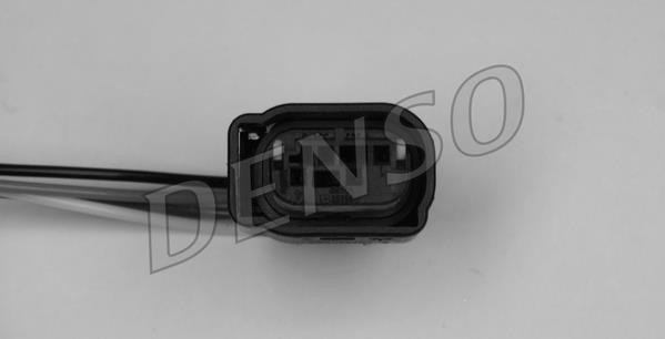 DLS-447