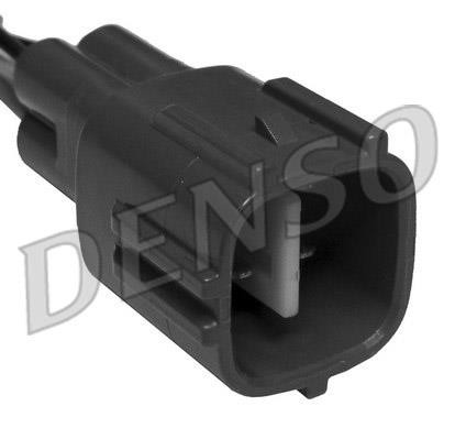 DLS-493
