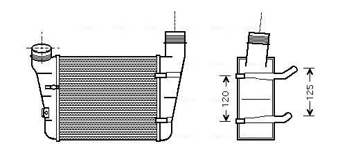 AIA4221