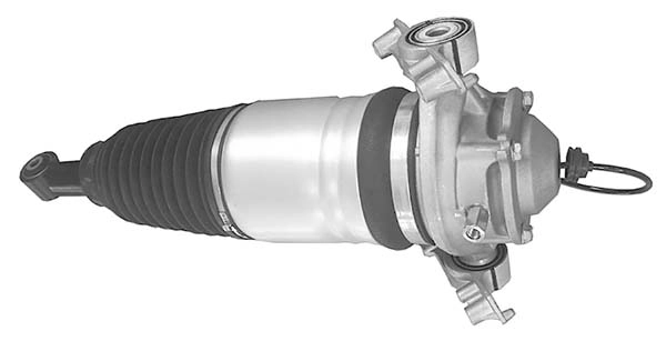 AMP3005