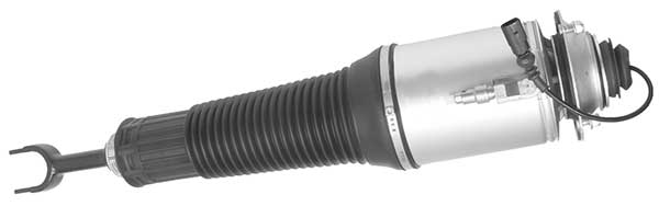 AMP3002