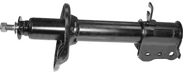 AM5569H