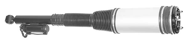 AMP1007