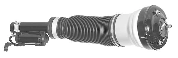 AMP1008