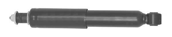 AM5919