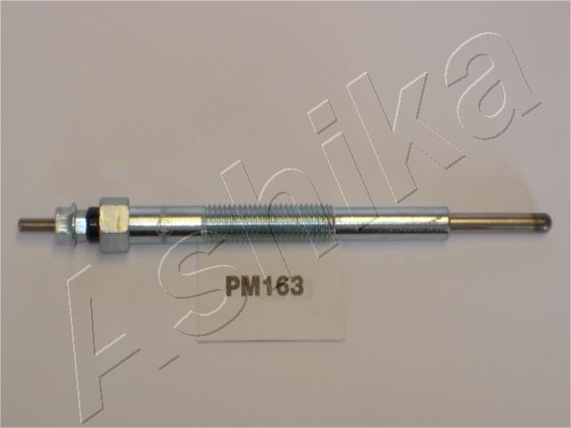 PM163