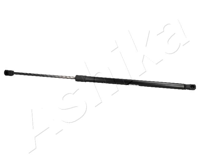 ZSA02078