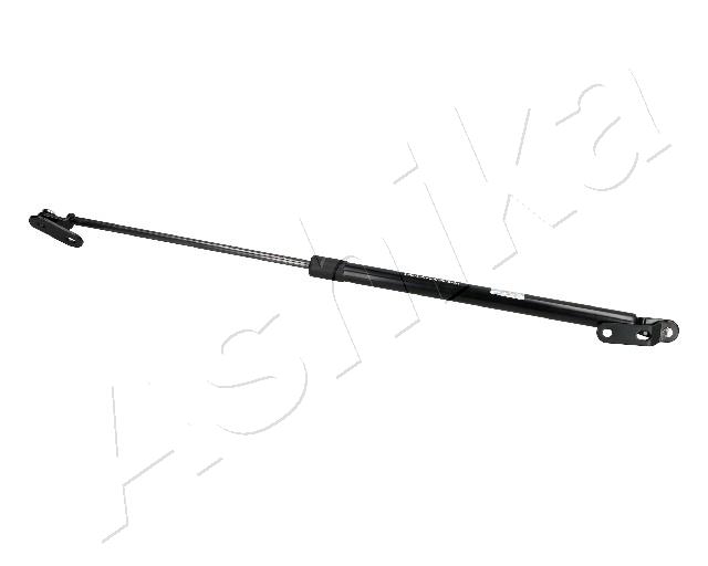 ZSA10015