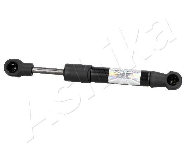 ZSA02058