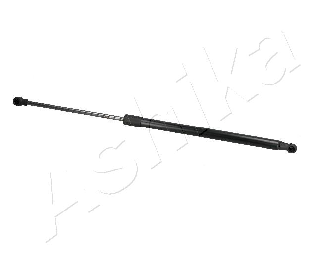 ZSA10009