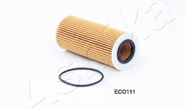 10-ECO111