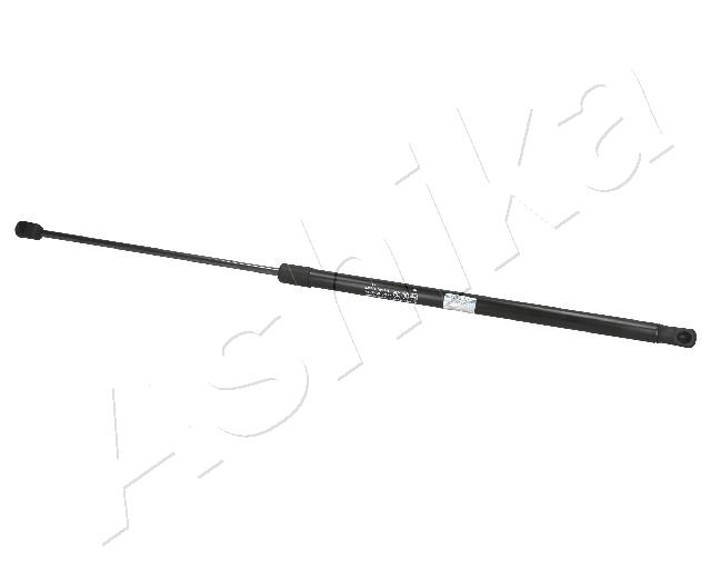 ZSA06055