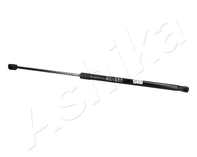 ZSA04064