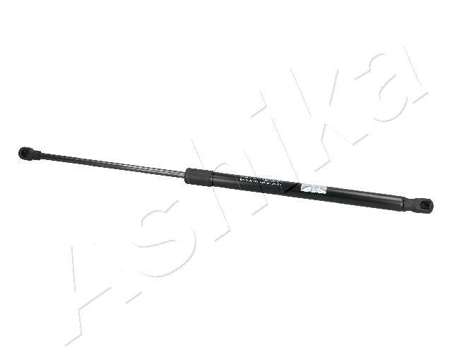 ZSA09022