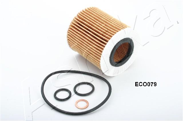10-ECO079