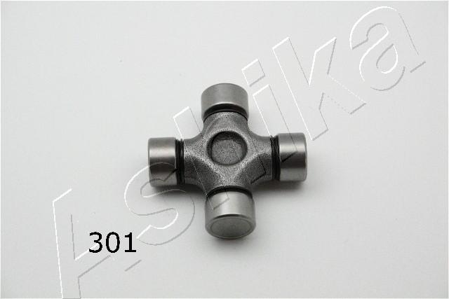66-03-301