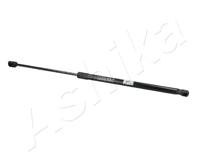 ZSA02080