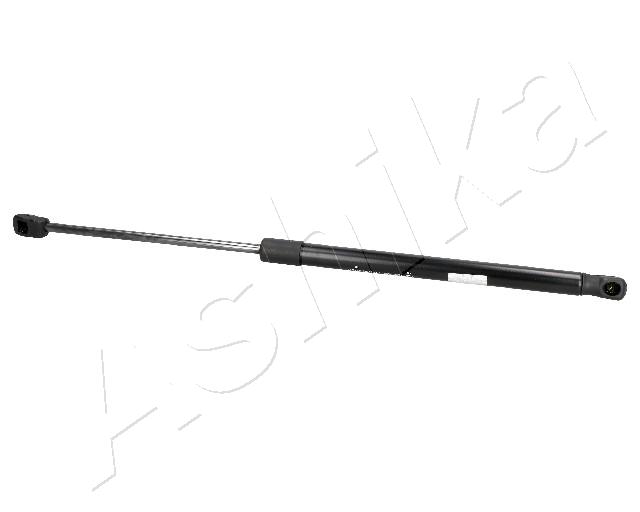 ZSA02089