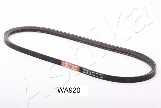 109-WA920