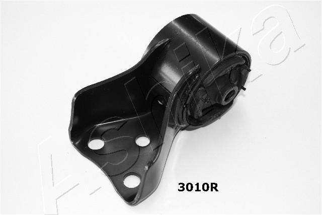GOM-3010R