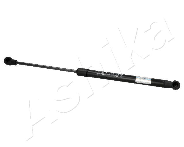 ZSA07059