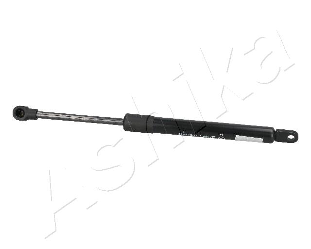 ZSA09091