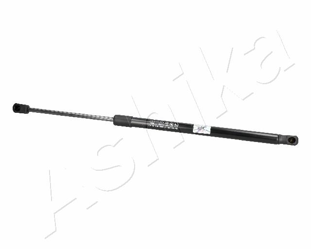 ZSA06068