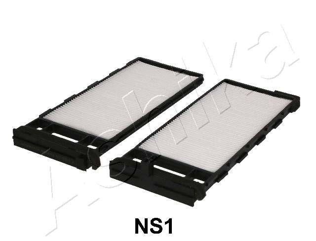 21-NS-NS1