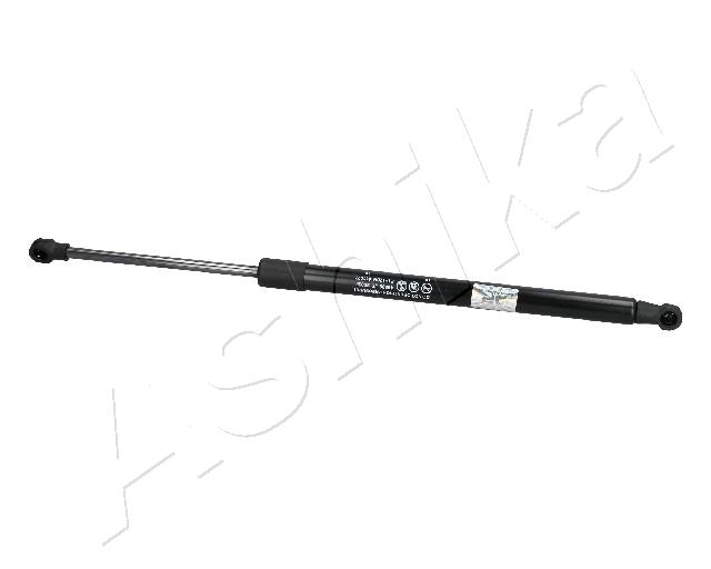 ZSA20029
