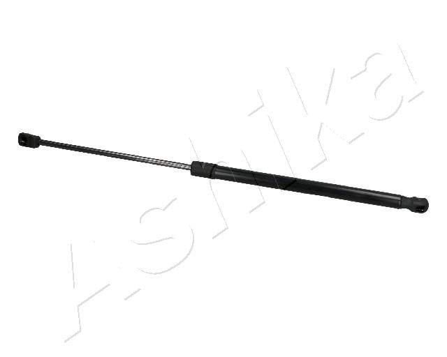 ZSA10032