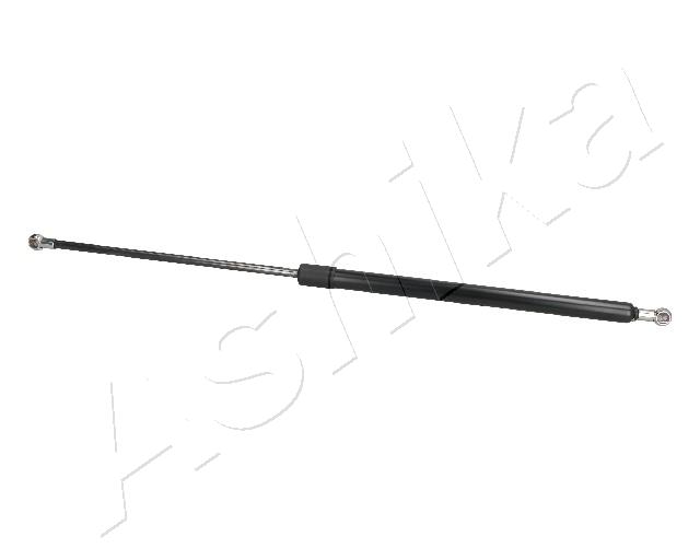 ZSA09028