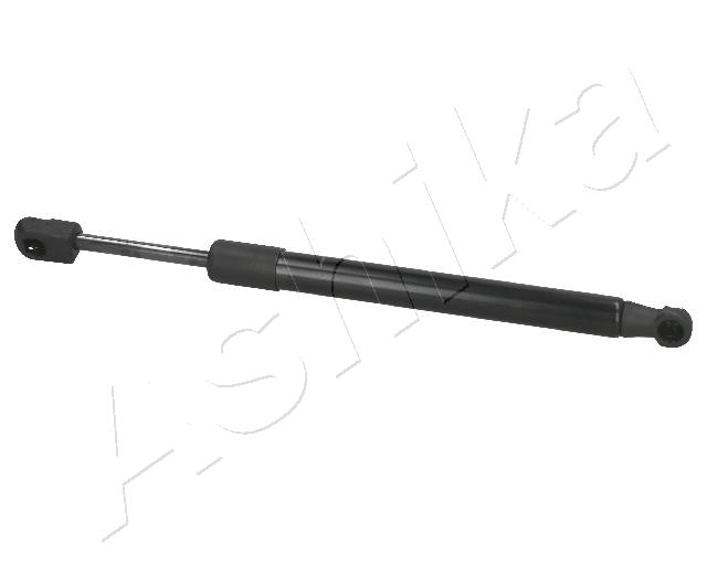 ZSA01080