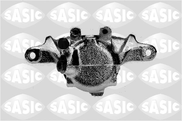 SCA6019