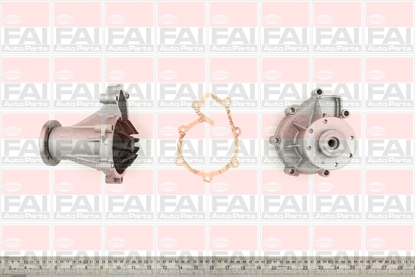 WP6238
