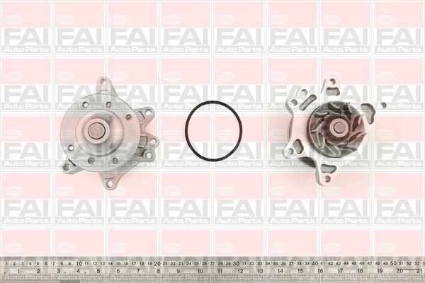 WP6481