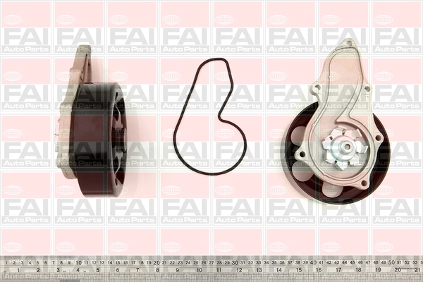 WP6271