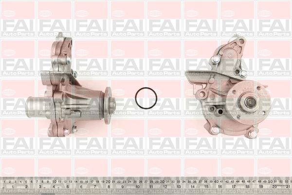 WP6089BH