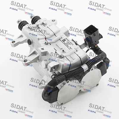 BD010024