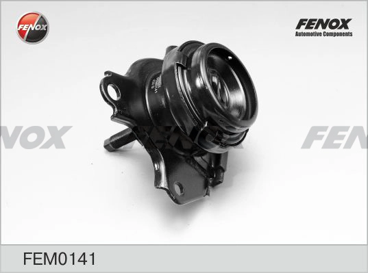 FEM0141