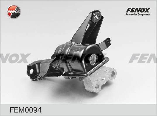 FEM0094