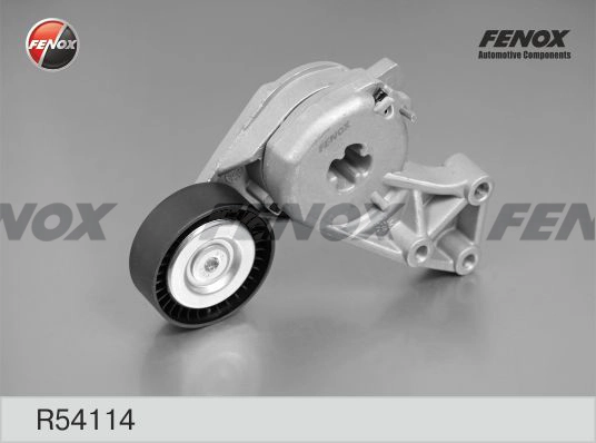 R54114