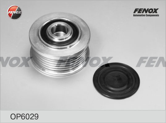 OP6029