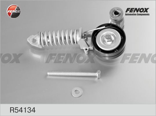 R54134