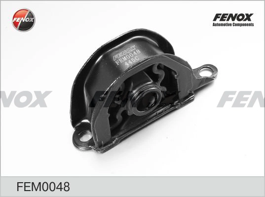 FEM0048