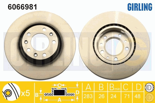 6066981