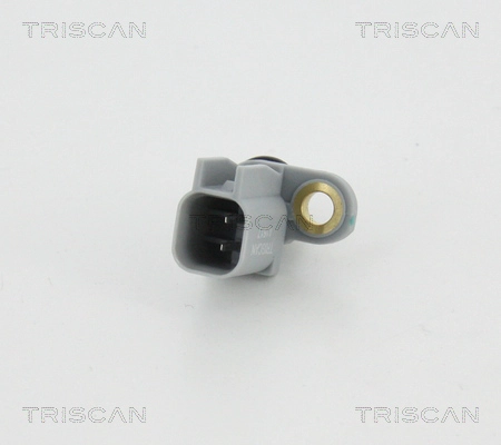 8180 16305