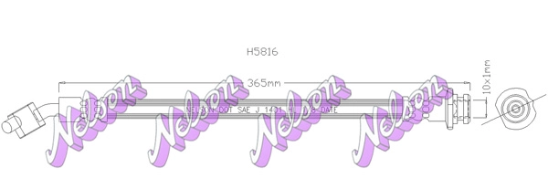 H5816