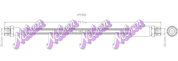 H5981