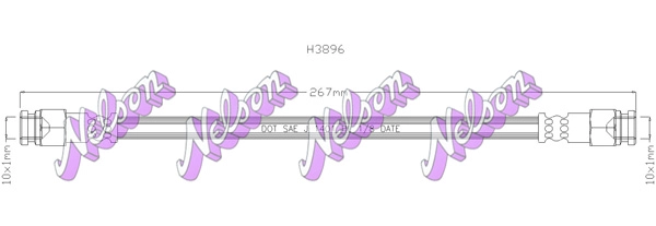 H3896